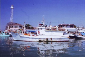 Gambar Ekonomi Perikanan Indonesia